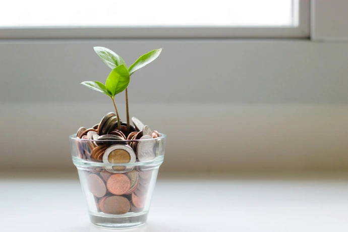 Planta creciendo en un vaso, que representa el ahorro con la financiación en 12 cuotas sin intereses